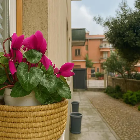 Casetta Beatrice Cozy Flat Near Vatican Rome