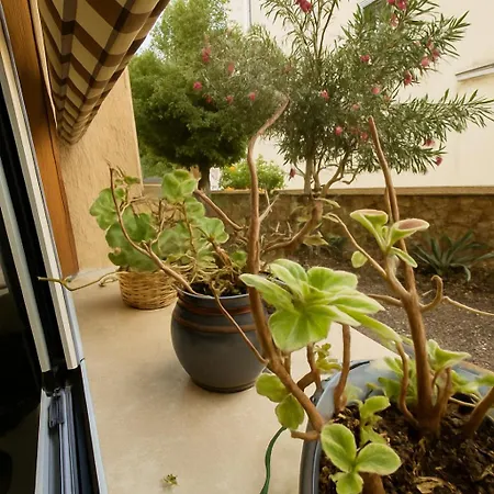 Casetta Beatrice Cozy Flat Near Vatican Apartment Rome