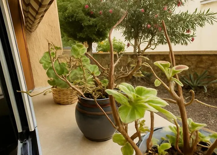 Casetta Beatrice Cozy Flat Near Vatican Apartament Rzym